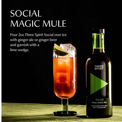 Three Spirit Social Non-alcoholic Mocktail 16.9oz Btl