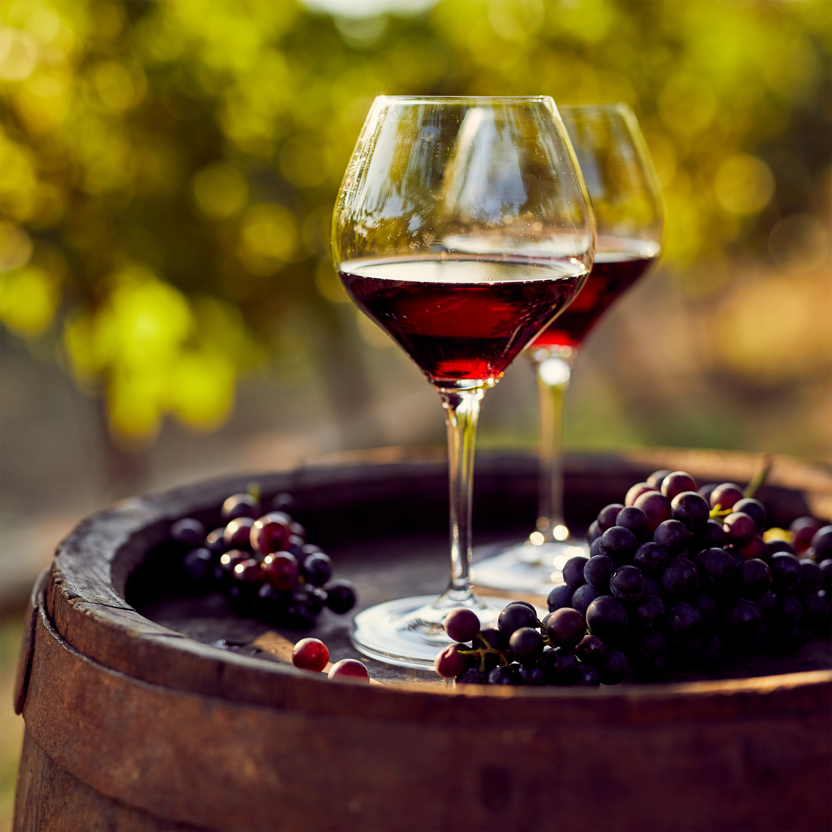 Dragon Ridge – BevMo!
