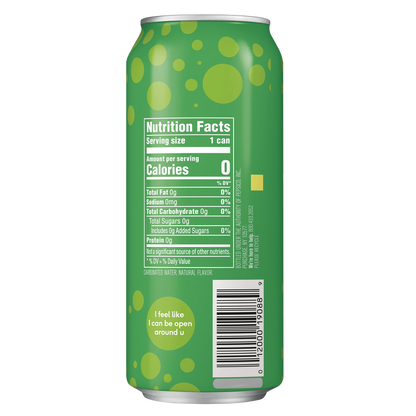Bubly Lime 16oz Can