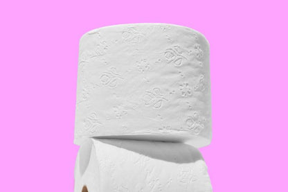 Basically 6ct Large Roll Soft Toilet Paper