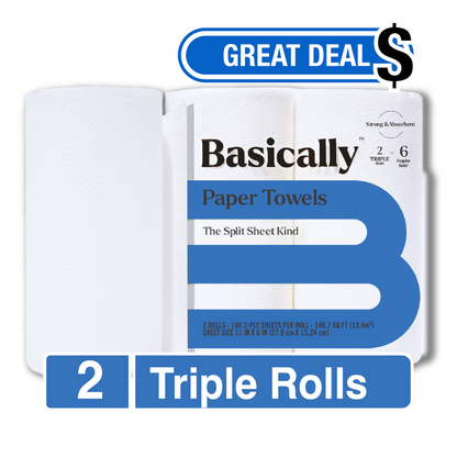 Basically 2ct Strong & Absorbent Paper Towels