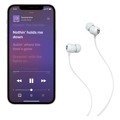Beats Flex - Wireless Earphone — Smoke Grey