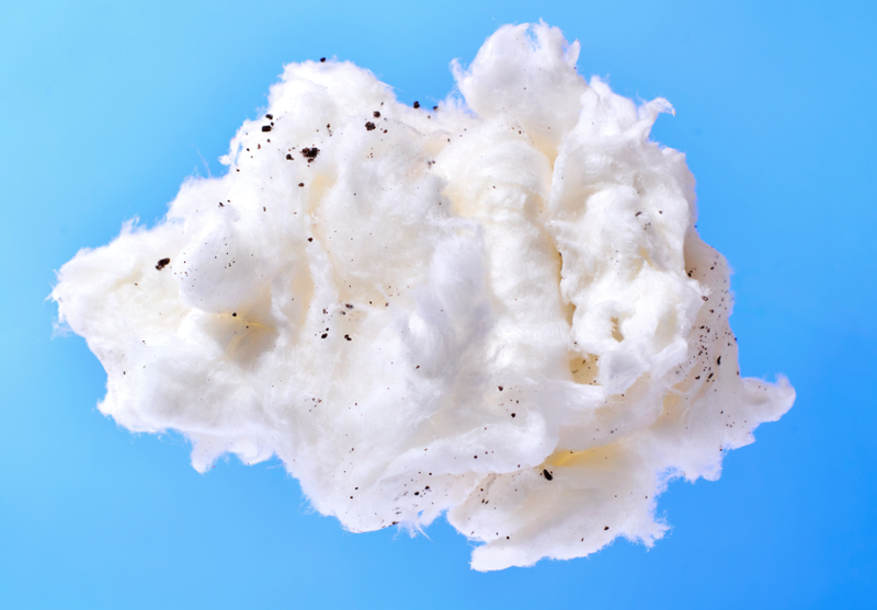 Crave Shoppe Cookies & Crème Cotton Candy 1 oz
