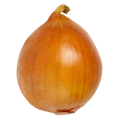Yellow Onion - 1ct