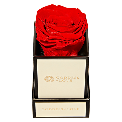 Goddess of Love Preserved Rose 1ct