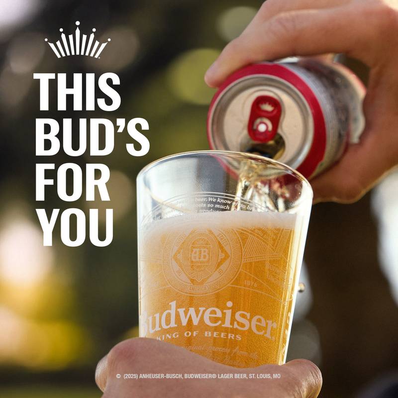 Budweiser 12pk 12oz Can 5.0% ABV