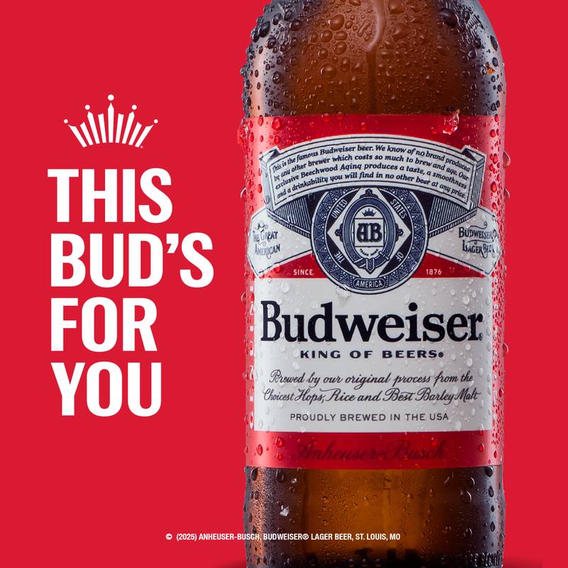 Budweiser 6pk 12oz Btl 5.0% ABV