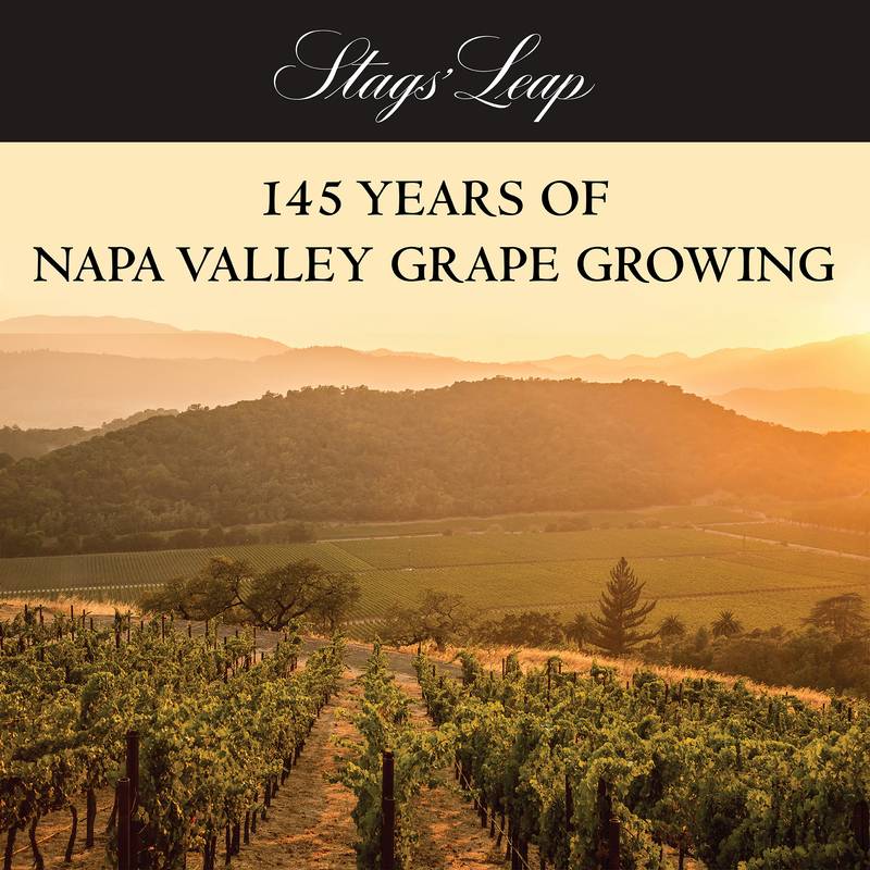 Stags' Leap Winery Napa Merlot 750 ml - Stags' Leap Winery – BevMo!