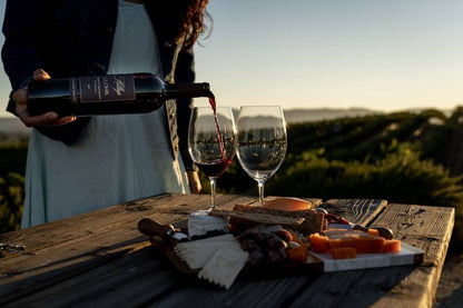 J. Lohr Hilltop Cabernet Sauvignon 750ml