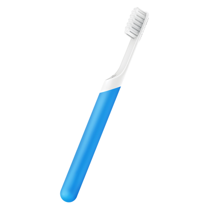 Quip Plastic Electric Toothbrush Blue 1ct