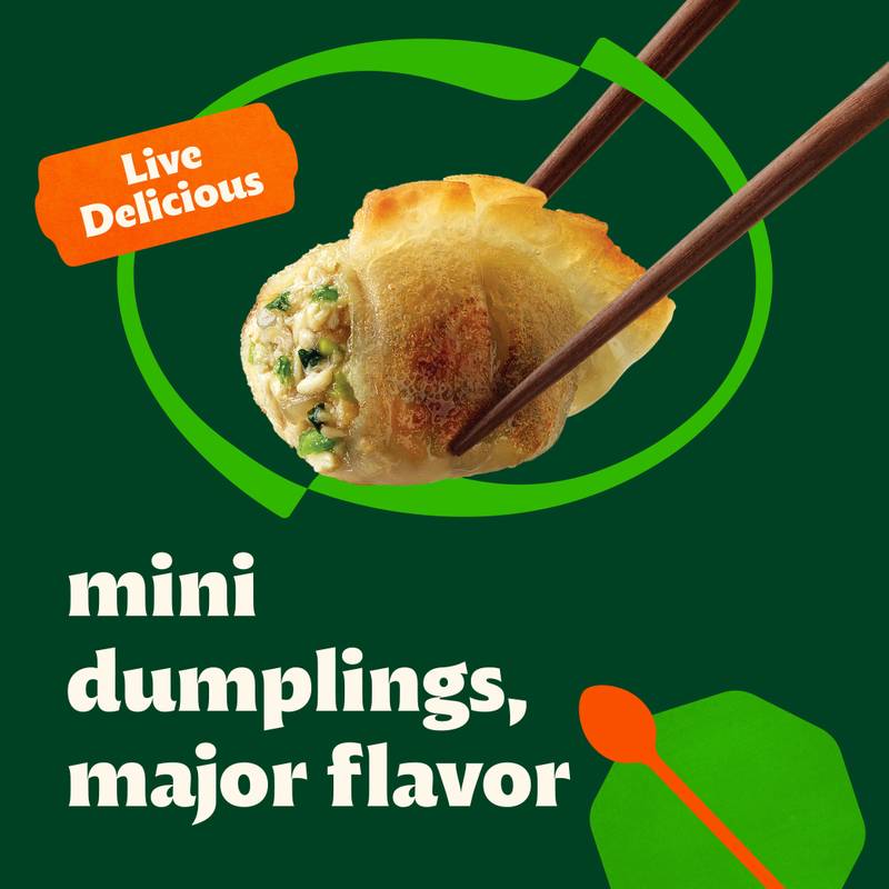 Bibigo Frozen Chicken & Vegetable Mini Wontons 24oz - Bibigo – BevMo!