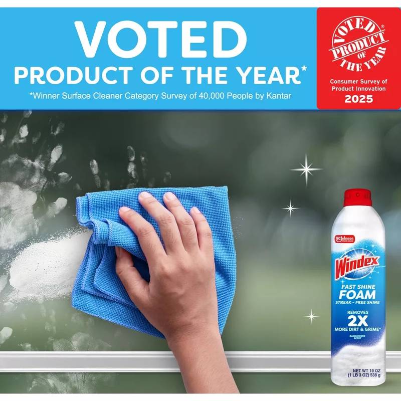 Windex Foaming Aerosol, 19oz