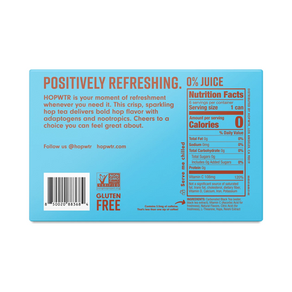 HOPWTR Raspberry Iced Tea 6pk 12oz Can