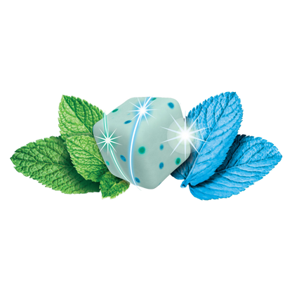 Ice Breakers Flavor Shifters Wintergreen to Coolmint Flavors Sugar-Free Gum Bottle Pack, 3.24 oz