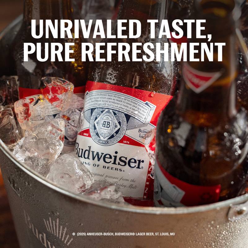 Budweiser 6pk 12oz Btl 5.0% ABV