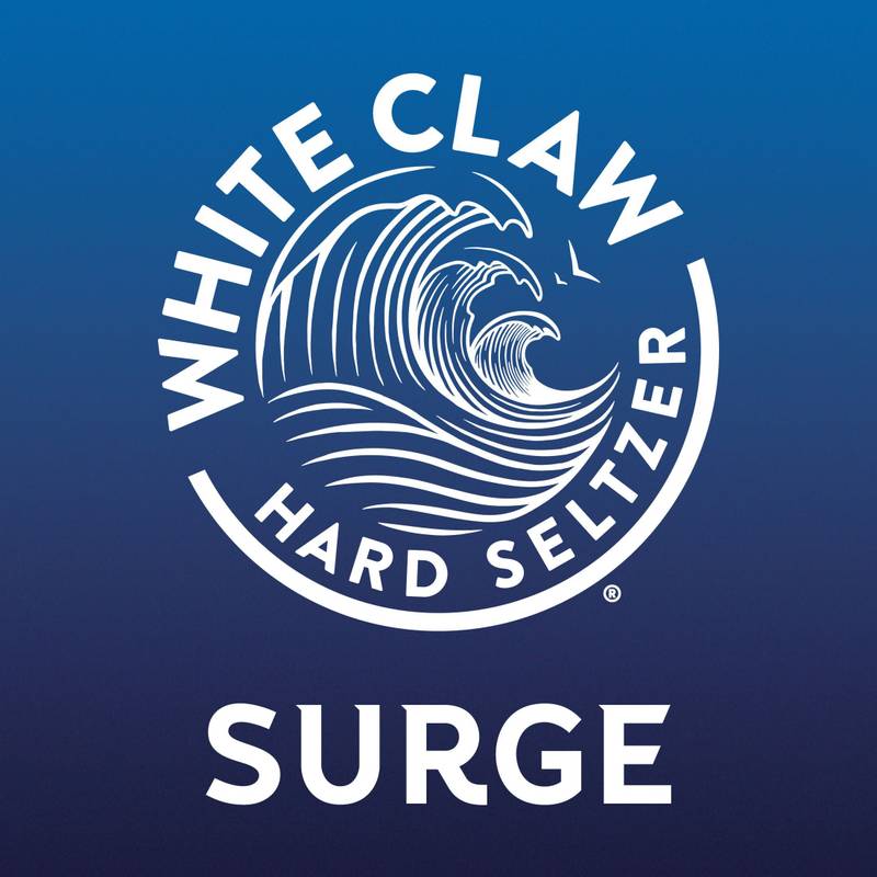 White Claw Hard Seltzer Surge Blackberry Single 19.2oz Can 8% ABV