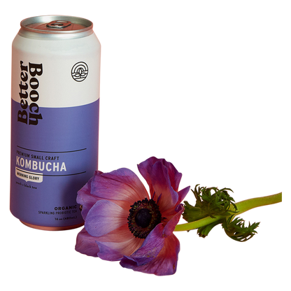 Better Booch Morning Glory Kombucha 16oz