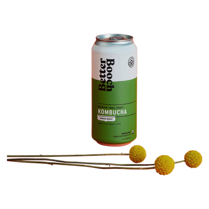 Better Booch Ginger Boost Kombucha 16oz