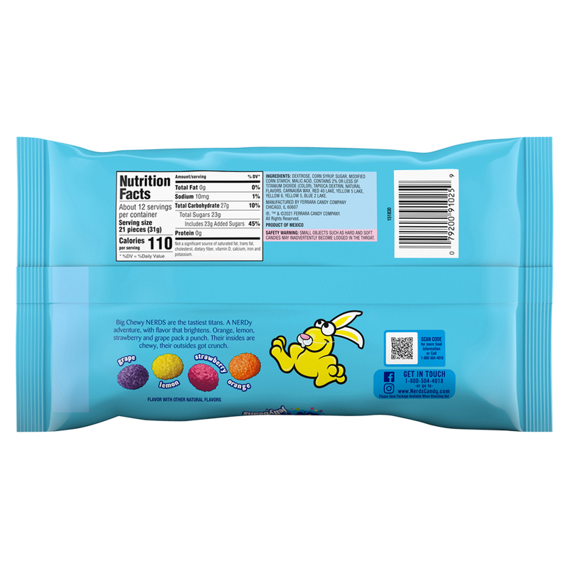 Nerds Big Chewy Jelly Beans 13oz