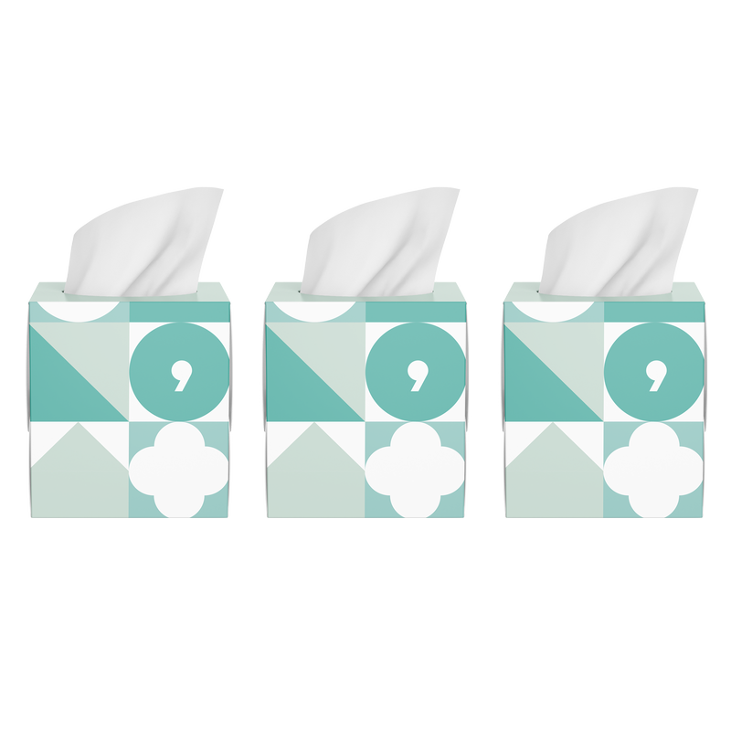 Basically, 80ct Soft Facial Tissues (Pack of 3)